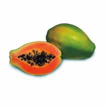 Sunrise Papaya Sunrise Papaya - 3 Stars